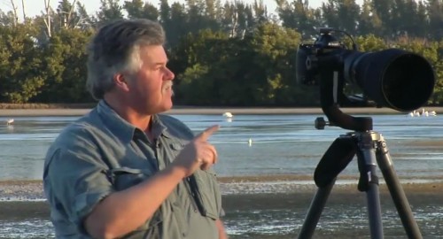 [Tutorials] KelbyOne - Photographing Florida Birds