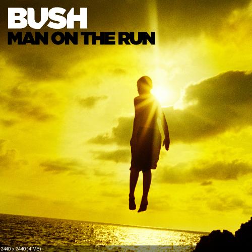 Bush - Man On The Run (2014)