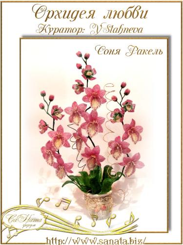 Выпуск курса "Орхидея любви" 3b325518869fa84e7adb6ef4f08346e6