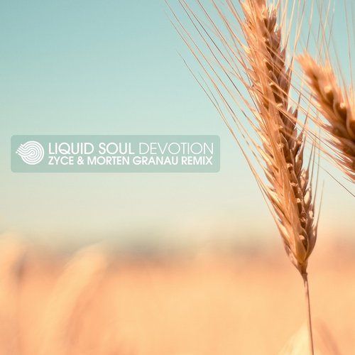 Liquid Soul - Devotion (Morten Granau & Zyce Remix) (2014)